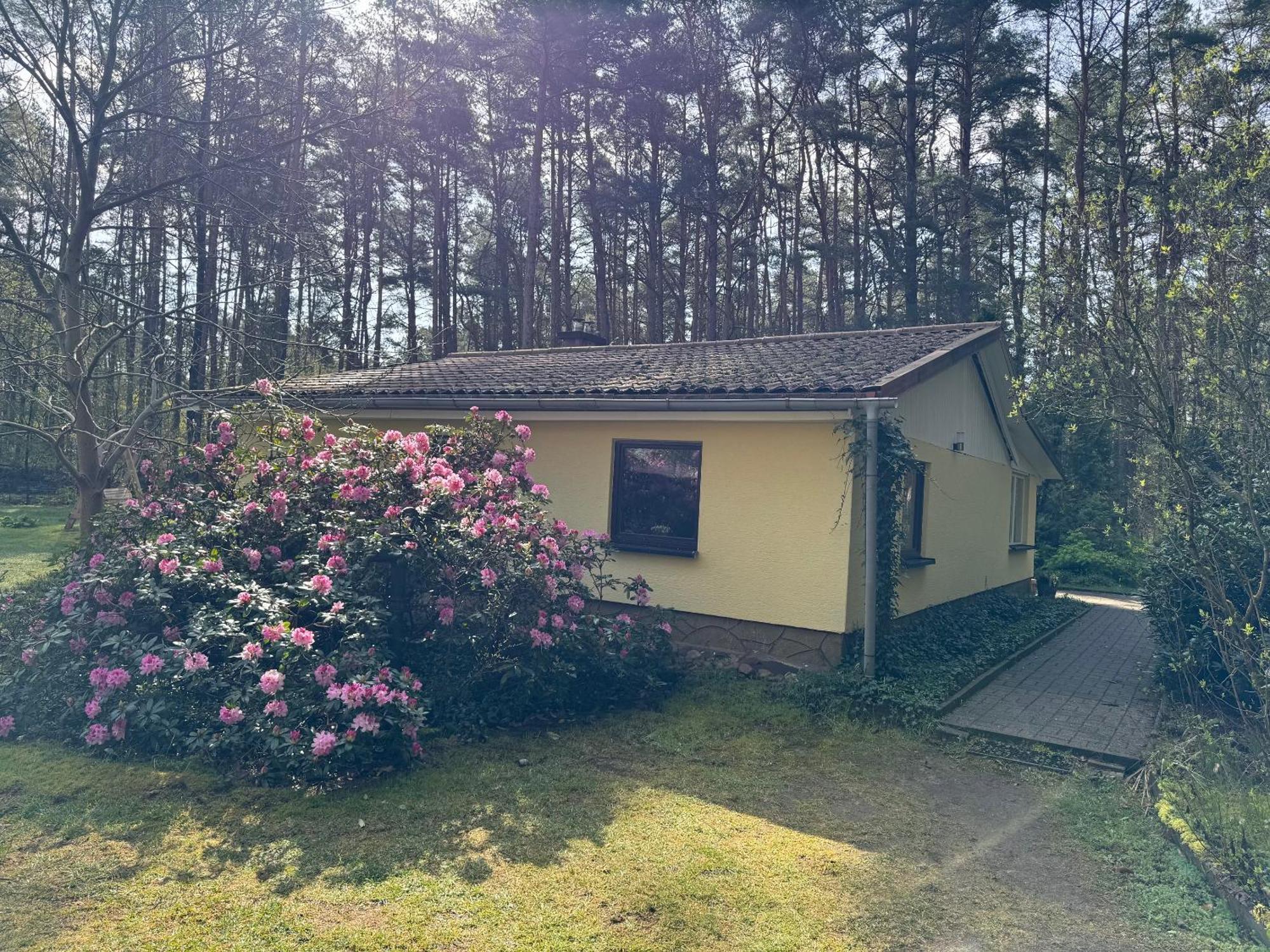 Ferienhaus Im Wald Borkwalde Exterior foto